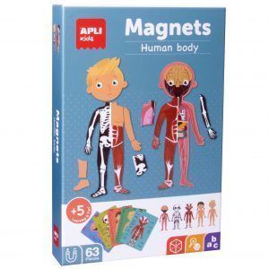 APLI Magnets El Cuerpo humano