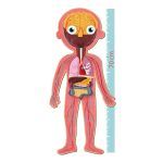 APLI Puzle Educativo Cuerpo Humano