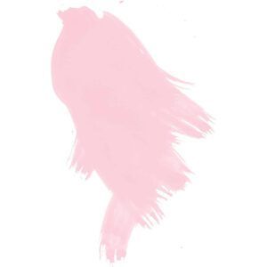 Daler Rowney FW Tinta Líquida Acrílica Nacarada Frasco 29.5ml