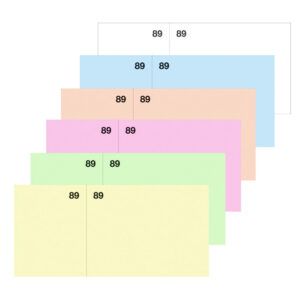 APLI Vales de Caja 0-99 Papel Litos con Matriz 105x50mm
