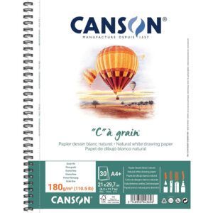 Canson C à Grain Álbum Espiral Microperforado 30H Fino 224g
