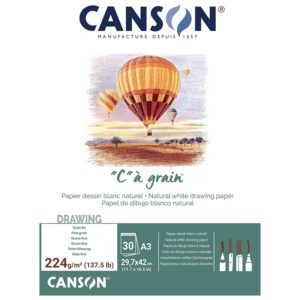 Canson C à Grain Bloc Encolado 30H Grano Fino 224g