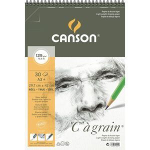 Canson C à Grain Álbum Espiral Microperforado 30H Fino 125g