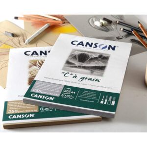 Canson C à Grain Bloc Encolado 30H Fino 250g Gris Jaspeado