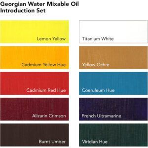 Daler Rowney Georgian Introduction Set pintura al óleo miscible con agua 10x20ml